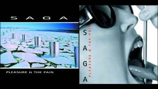 Watch Saga Pleasure And The Pain video
