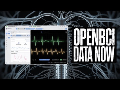 你知道怎么实时看EEG数据吗？快来学！