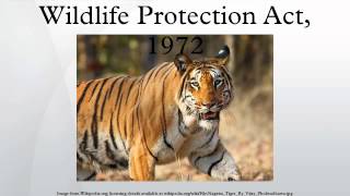 wild animals protection wild animals protection