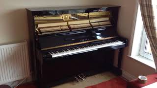 Yamaha Disklavier Piano In Action Entertainer