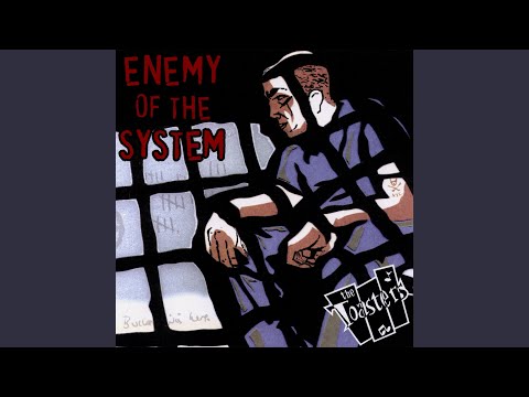Enemy Of The System Video