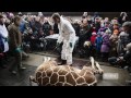 Zoo Denmark