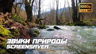 Живая Природа - Река | Звуки Природы | Звуки Реки | Шум Воды | Релаксация | Пейзаж | Заставка Для Тв
