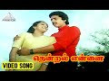 தென்றல் என்னை  Video Song | Oru Odai Nadhiyagiradhu | Raghuvaran | Sumalatha | Ilaiyaraaja