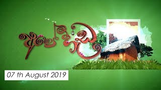 Ape Heda | 07th August 2019