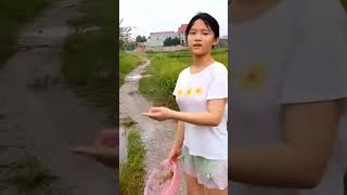 Gia Linh Đi Bá Cua