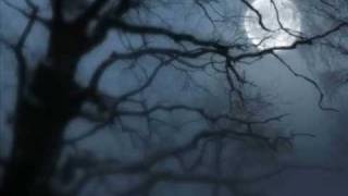 Watch Legenda Winter Night video
