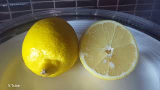 Lemon in a vacuum chamber