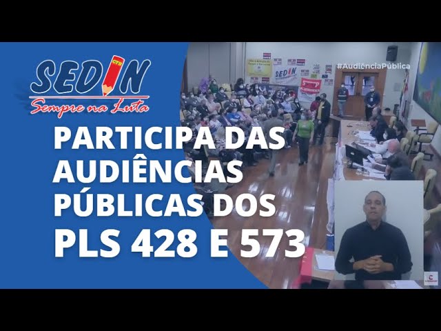 FALA DO SEDIN NAS AUDIÊNCIAS PÚBLICAS DOS PLs 428 E 573 | VÍDEO 2