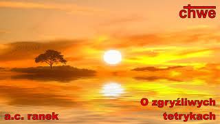 973. O zgryźliwych tetrykach – Pastor Andrzej Cyrikas