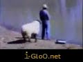 مواقف وطرائف سكس