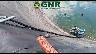 GNR resgata raposa em Ponte de Lima