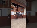 The best 4 y/o 🤩 wait for the end! #equestrian #horse #short