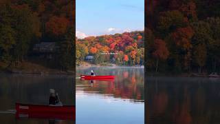 Fall In Muskoka, Ontario
