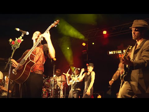 The Mitchi Bitchi Bar | Soñador | Live 2019