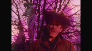 Watch Cure The Hanging Garden video