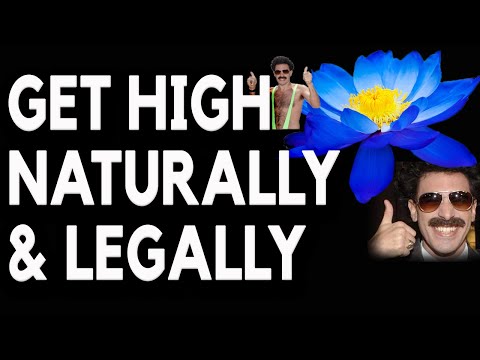 Get High Naturally With These 5 Legal Herbs