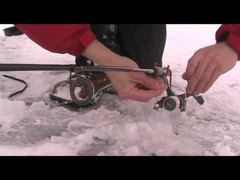 Wyoming Fish  Game on Wyoming Game And Fish Compendium Rigging For Burbot Ling Ice Fishing