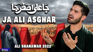 Ja Ali Asghar | Ali Shanawar | 2022 | 1444