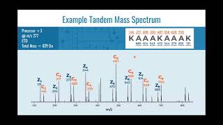 MQSS 2021 | New Mass Spectrometer Technology for Large-Scale Multi-Omic Profiling | Joshua J. Coon