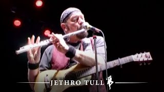 Watch Ian Anderson Budapest video