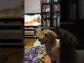 IMG 0255 #2 IMG 0255 #2