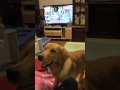 IMG 0255 #4 IMG 0255 #4