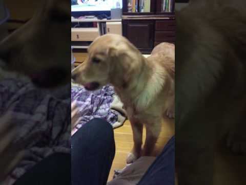 IMG 0255 IMG 0255 #1