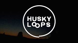 Watch Husky Loops The Man video