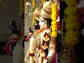 Sri Sri Radha Madhav Blissful Darshan 003 | Whatsapp Status | Devotional Song | Radha Krishna Status