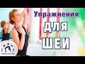 Оздоровление шейного отдела позвоночника Оздоровление шейного отдела позвоночника