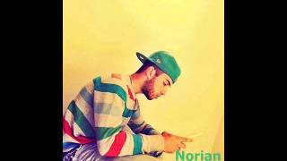 NORIAN Ti po don 2014