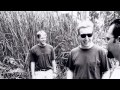 Blue Zebra - Bad Luck Brown