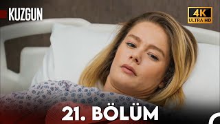 Kuzgun 21. Bölüm 4K Ultra Hd