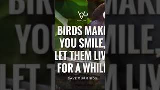 National Bird Day
