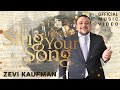To Sing Through Your Song - Zevi Kaufman - Official Music Video - זאבי קאופמן