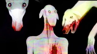 The Unsettling Horror Of Dexter The Dog