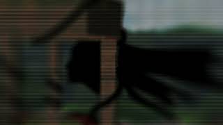 n2xmVPr7l6k Video Image