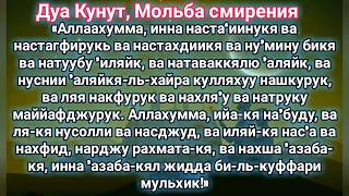 Дуа Кунут Красивое Чтение Dua Kunut