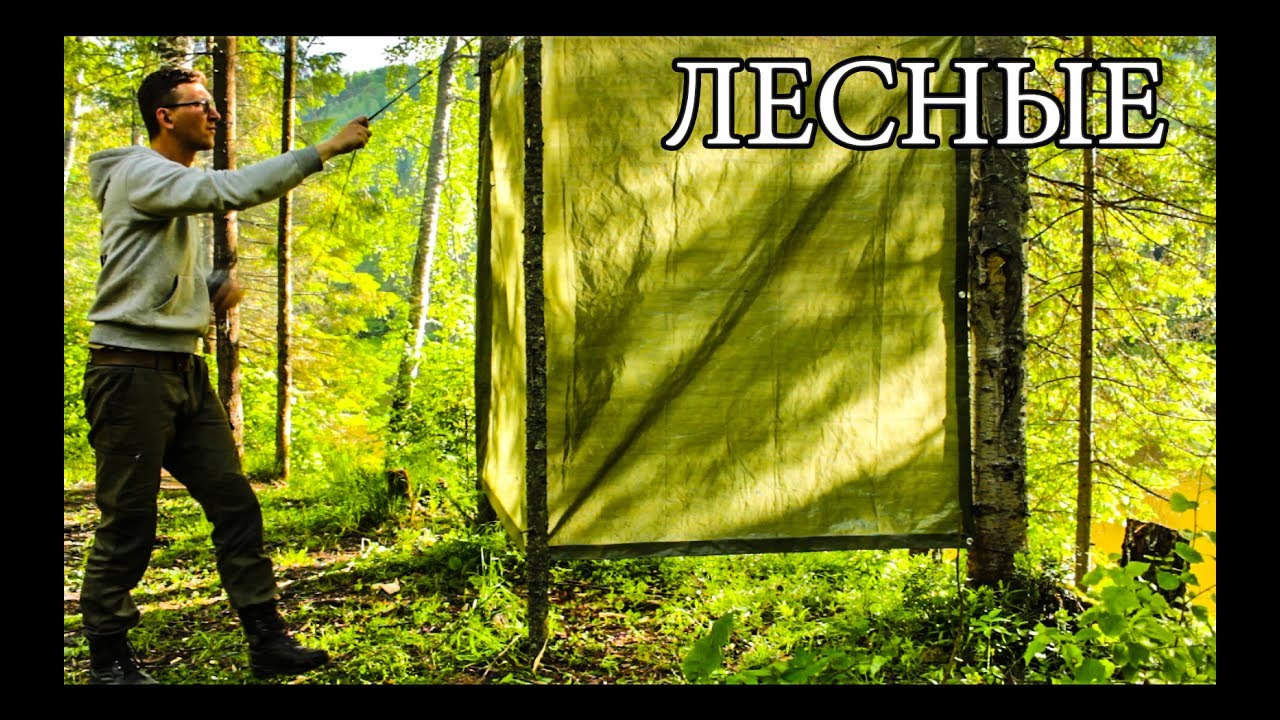 Душ в лесу Душ в лесу