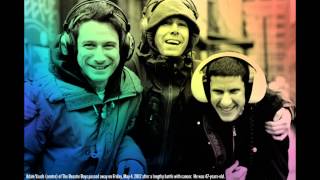 Watch Beastie Boys Brrr Stick em video