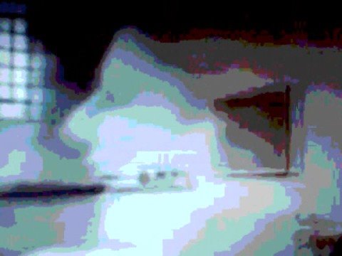 Cicely Video