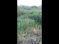 Anime44 動画15a