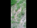 Anime44 動画15b