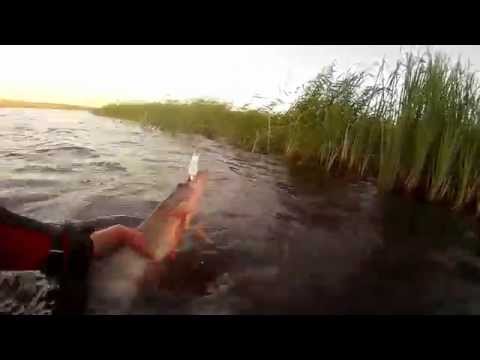 рыбалка на циклоп рыбалка на циклоп