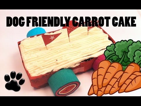 Youtube Carrot Cake Recipes For Dogs