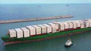 Zim All-White Containers