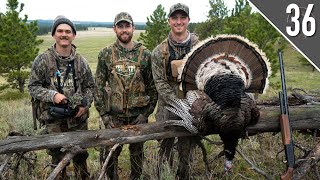 Montana Merriams Turkeys On Public Land Gobblers On Fire