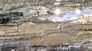 Shallows - Heidi Wienike Visual Artist