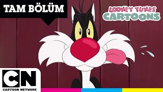 Sevi̇mli̇ Kahramanlar Hi̇kâyeler Eğlenceli Kovalamaca